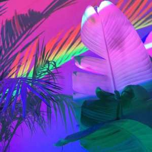 prodbysezy