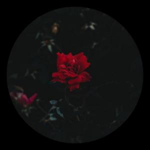 nostalgiabeats