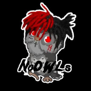 NoOWLs