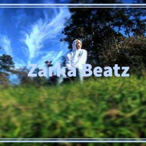 zarkabeatz