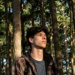 Looperman lofi guitar discount