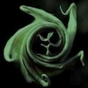 cjpmusic