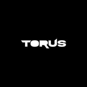 lTorusl