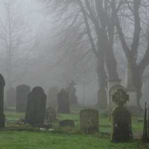therealgraves
