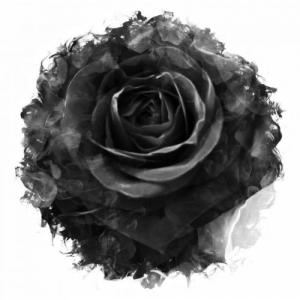 darkzion