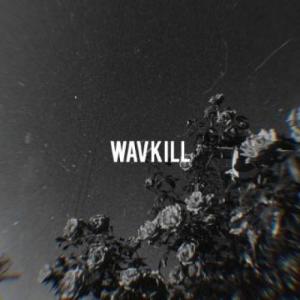 wavkill