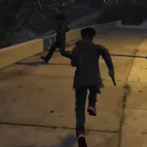 VLHuncho