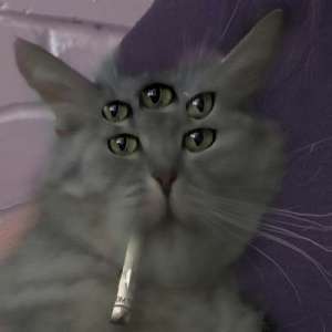 s4leflaque