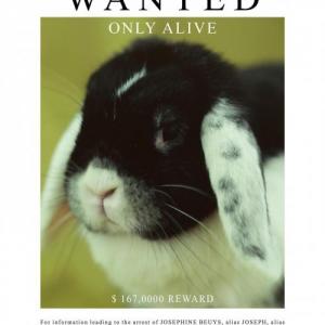 guzelliksorusturmasi