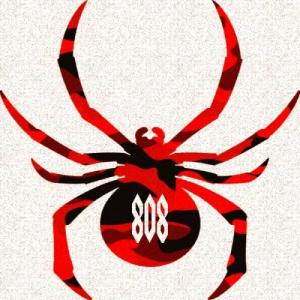 808brownwidow