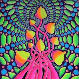 SHROOMYDAZE