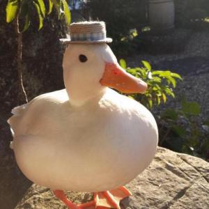 TheDuc