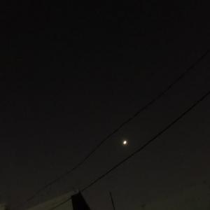 mooni