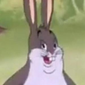 CampusdudeBeats