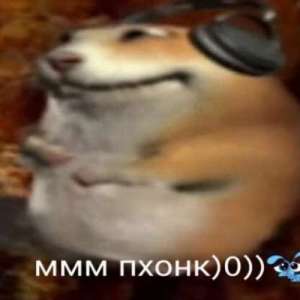 dsafwefgwe