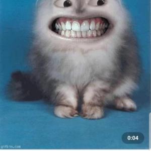 lreyesyankee