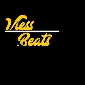 viess13
