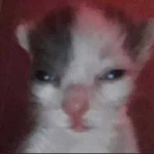Izart