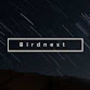 BirdnestBeats