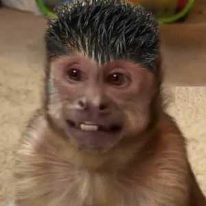 DanWhite