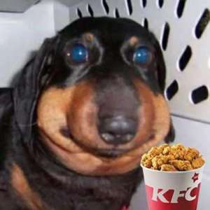 NikDemi