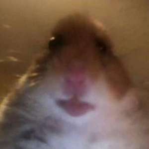 dellaskid
