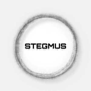 STeGMus
