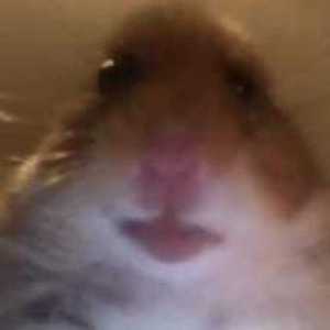 htyu