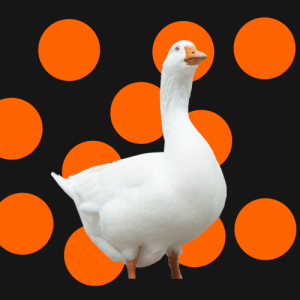 ProduceGoose