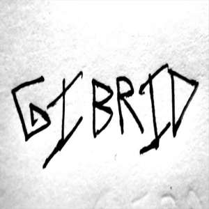 G1BR1D