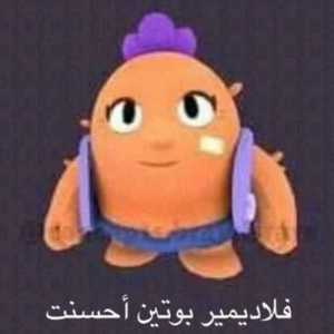 NikitaKI