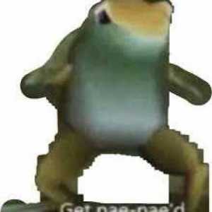 Paoluss