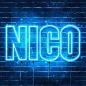 NicoLoops