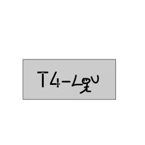 T4Lou
