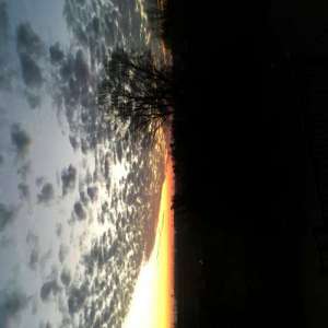 codoz