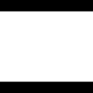 arsonbjork