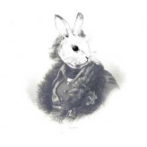 RabbitTheProducer