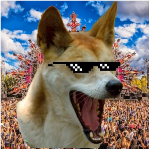 Dingo42719