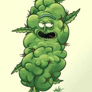 MrPicklez