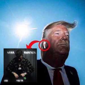 lennodecesco