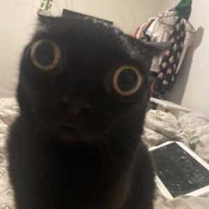 nakufl