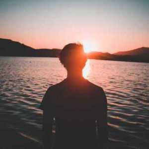 OlySparks