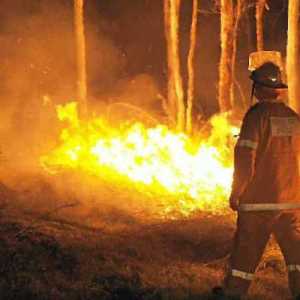 MURDERBEATSNOTPEOPLE