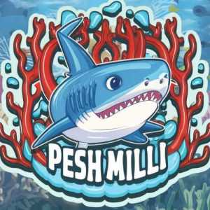 Peshmilli