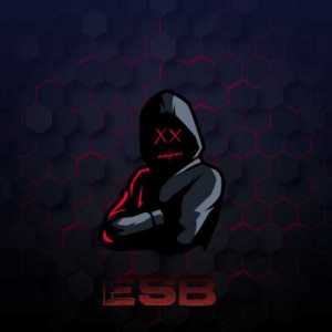 E314