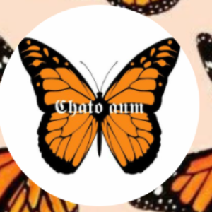 Chato12345678