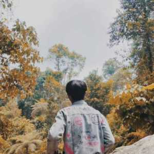 ellllmansyah