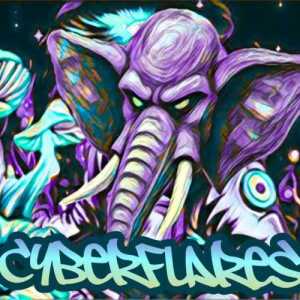 Cyberflares