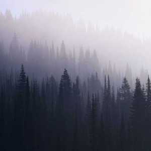 unknown4713