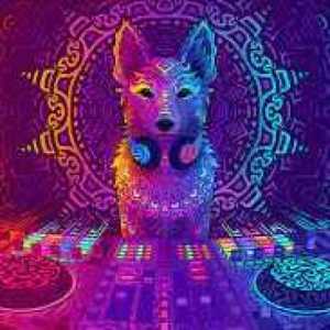 DJFoxtrotmusicboi